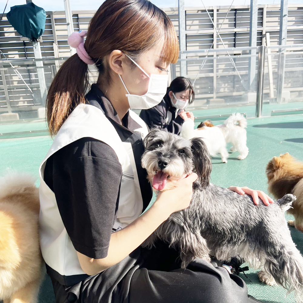 生徒が撮影したモデル犬たちの写真②